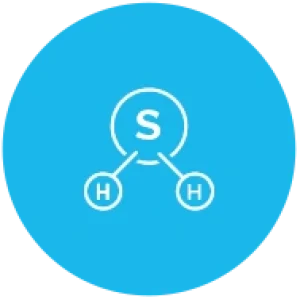H2S Scrubbers